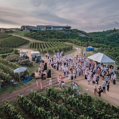 Sunset en Bodega Garzón