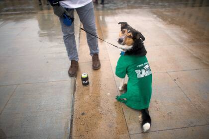 Un perro vestido para la ocasión