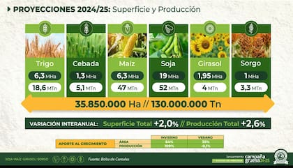 Superficie y producción estimadas