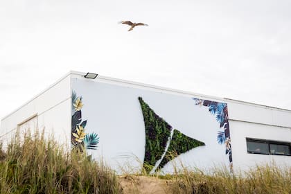 Supervielle también reafirma su compromiso con la sustentabilidad a través de actividades de voluntariado junto a Eco House Global.