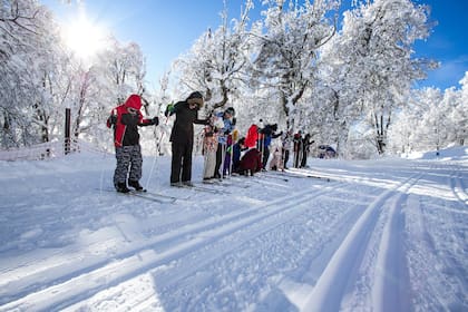 Surgido en los países nórdicos como forma de transporte -especialmente en Rusia, Suecia y Noruega-, el esquí de fondo es la modalidad más antigua de ese deporte