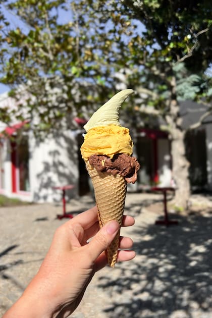 Sus cremas heladas son 100% artesanales sin conservantes y con recetas que respetan el sabor de cada ingrediente