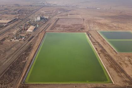 Sus minas rivalizan con las de Bolivia como uno de los depósitos de litio más grandes del mundo.