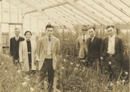 Sus padres, inmigrantes japoneses, trabajaban en un vivero en Oakland, donde cultivaban y vendían plantas ornamentales, y Fred colaboró en el negocio familiar durante su juventud