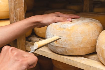 Sus quesos ya se encuentran en restaurantes que priorizan los productos orgánicos y de calidad
