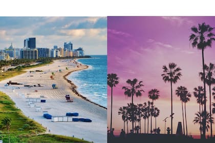 Sus temperaturas cálidas y vibrante vida nocturna hacen de Miami un destino muy popular aunque sus precios no son nada asequibles. (Canva)