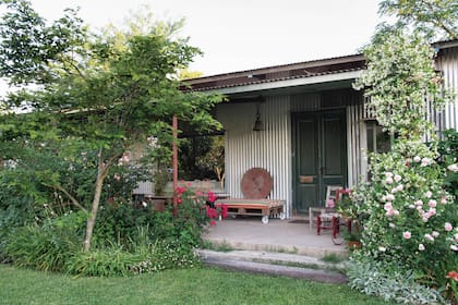Sus vecinos se resistían a que construyera una casa de chapa, pero Heather les aseguró que el jardín haría que el material pasara inadvertido, y hoy todos disfrutan de su lugar tanto como ella.