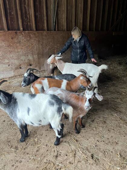 Susan trabaja con caballos, ovejas y hasta cerdos en los centros de rescate