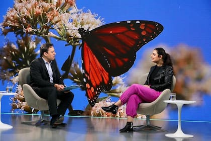 La desaparición de las mariposas, otro de los ejes de trabajo del equipo de LN Naturaleza y de ello hablaron José Del Rio y Natalia Louzau
