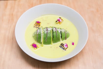 Sutil ceviche de palta y manzana verde sobre leche de tigre vegetariana.