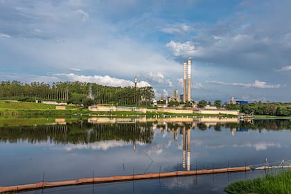 Suzano ingresó a la Argentina en 1994 con la compra de la empresa local Stenfar