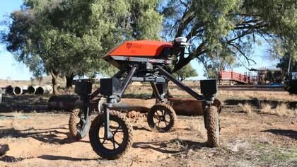 Swagbot, el robot vaquero que desarrollaron en Australia