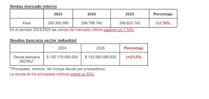 Syzchowski divulgó hoy datos que muestran una caída del mercado interno, respecto al inicio de la desregulación en 2023. También, un fuerte aumento del endeudamiento de las industrias yerbateras. "Las empresas tampoco están bien", afirmó.
