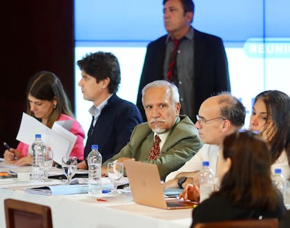 Tagliaferri, Romero y Lousteau, durante el debate en el Senado