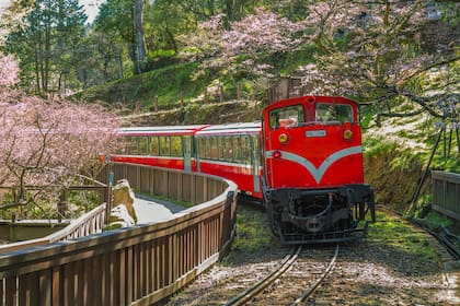Taiwan líder mundial en la fabricación de semiconductores, gracias a empresas como TSMC, clave en la industria tecnológica global.