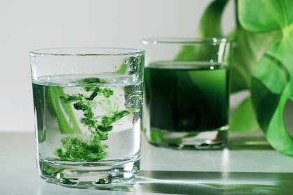 Tal vez sería más sano comer directamente verduras de hoja verde que tomar clorofila líquida