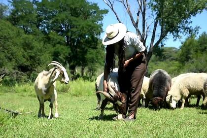 En el campo tiene cabras, ovejas, vacas, caballos y aves de corral