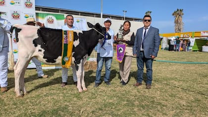 También es jurado internacional de Holando desde 2006. Juró en Uruguay, Perú, Paraguay y en las principales exposiciones de la Argentina