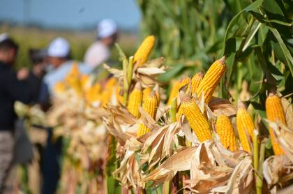 También hará una recompra de pagarés