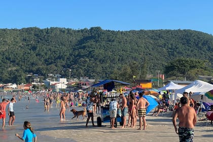 También se están reportando casos en balnearios de las localidades más populares del estado vecino de Santa Catarina, como Florianópolis