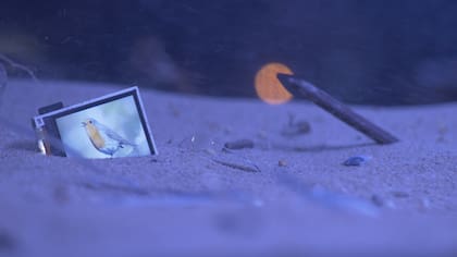 "También se ve regeneración de vida y exploración del universo”, señala Díaz Morales sobre su obra