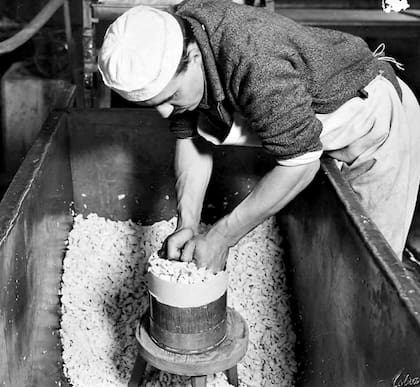 Tandil, 1927. Un empleado de la Cooperadora de la Escuela de Producción e Industrialización de leche Dr. Ramón Santamarina en pleno proceso del llenado de moldes

