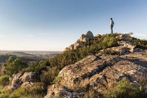 Viñedos en la tierra más antigua del mundo