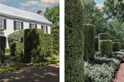 Tanto el jazmín como los arbustos crecen sobre mallas de acero, para que tomen la forma deseada y facilitar su poda.