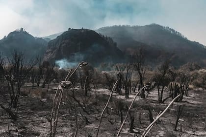 Tanto la intensidad como la frecuencia de estos incendios en la Patagonia generaron modificaciones en el terreno