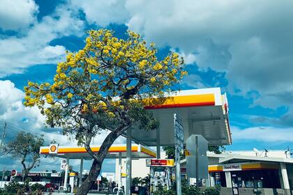 Tanto las olas de calor como las amenazas de huracanes influyen en los precios de combustibles en Florida