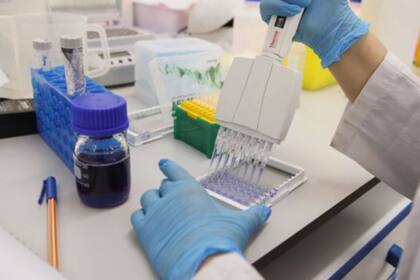 Tanto Nicaragua como Venezuela afirman tener las capacidades para producir la vacuna.