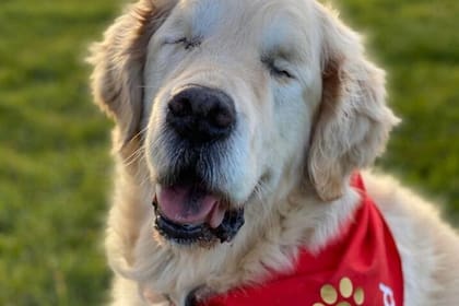 Tao se adaptó a la ceguera luego de que por un glaucoma tuvieron que extirparle ambos ojos, y ahora, con su propio perro guía, podrá enfrentar mejor su problema