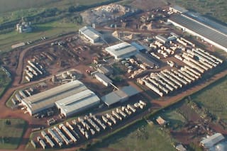 Una importante empresa del sector forestoindustrial se presentó en concurso de acreedores y ya busca un inversor