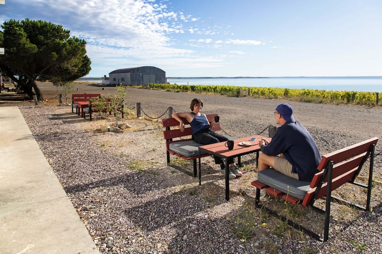 Bahía Bustamante: el paraíso patagónico entre algas, vinos y naturaleza extrema