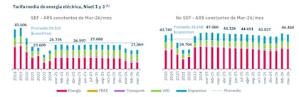 Tarifa media de electricidad para usuarios residenciales con y sin subsidios (valores constantes). Tras el atraso entre 2019 y 2023, las facturas muestran una fuerte recomposición desde 2024, aunque en el caso de usuarios sin subsidio aún se ubican por debajo de los máximos de 2018-2019 en términos reales.