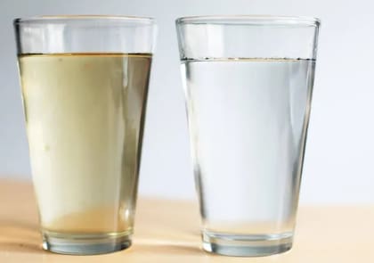 Tartaglione hizo hincapié en la importancia de consumir agua embotellada