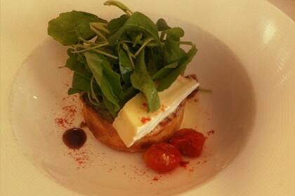 Tartine de champignones y hongos con ensalada de rúcula y brie