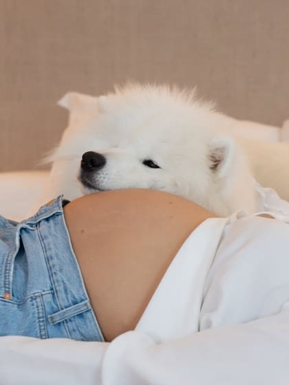 Tarzán se prepara para convertirse en hermano mayor (Foto: Instagram @juliaanalvarez)