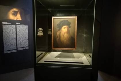 Tavola Lucana, retrato de Da Vinci