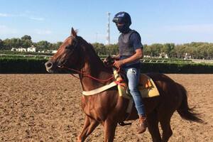 Turf argentino: la angustiante carrera por sobrevivir al coronavirus