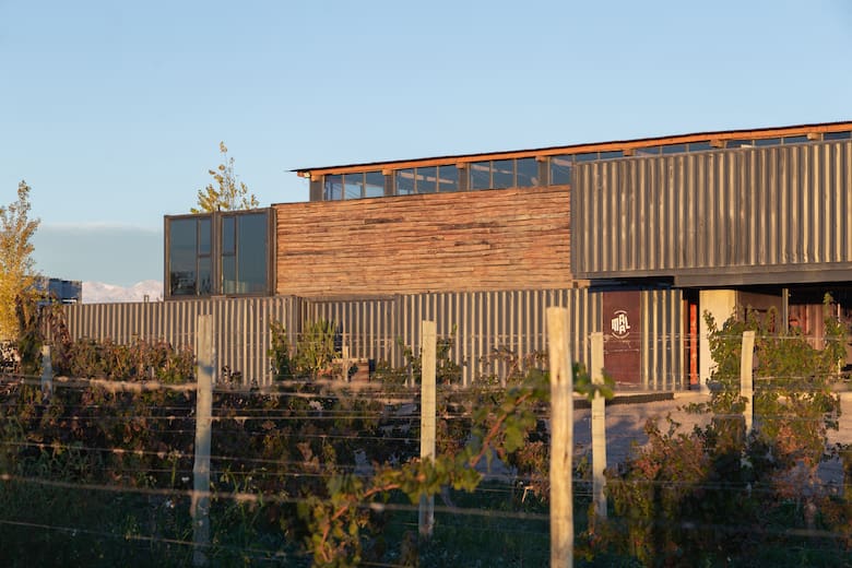 De la amistad al vino: la historia de MAAL en Mendoza