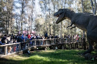 Actividades para hacer en Buenos Aires en las vacaciones de invierno