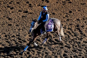 El tordillo que encontró su nombre en un fallido y puede ser la próxima gran estrella del turf mundial