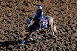 El tordillo que encontró su nombre en un fallido y puede ser la próxima gran estrella del turf mundial