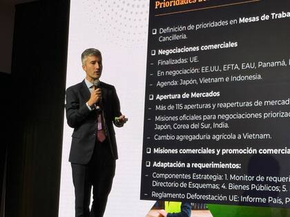 Tejada Rodríguez: "“La Argentina ha estado afuera de las negociaciones durante al menos 20 años. Hemos quedado en desventaja respecto a nuestros principales competidores. Revertir eso es una de las principales prioridades del Gobierno”