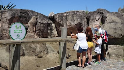 Temaikén, el lugar donde se recrea la vida silvestre.
Gentileza Temaikén.