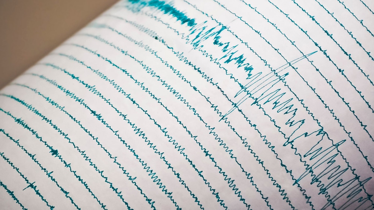 Temblor en México: los sismos reportados el jueves 19 de marzo - LA NACION
