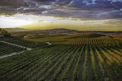Temécula, en California, es la opción perfecta para los amantes del vino