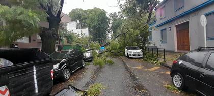 Otra vista de la zona afectada en Quesada y la avenida Triunvirato que conmociona al barrio.