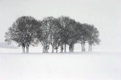 Una postal de la nieve en Kaufbeuren, Alemania